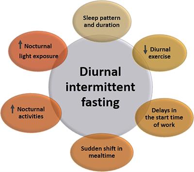 Is Sleeping Time Included in Intermittent Fasting?