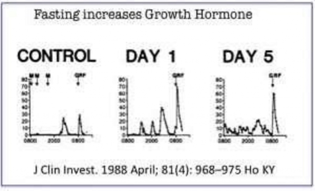 Does Intermittent Fasting Increase Hgh?