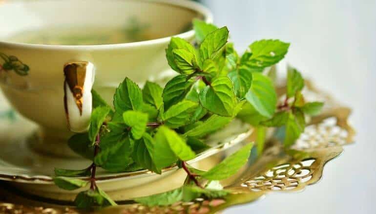 Can I Drink Peppermint Tea While Intermittent Fasting?