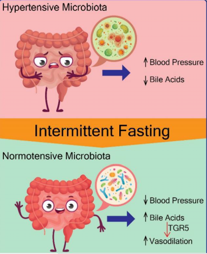 Can Intermittent Fasting Lower Blood Pressure?