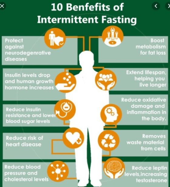 Will Intermittent Fasting Slow My Metabolism?