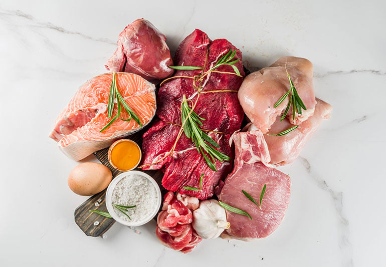 is an all meat diet healthy?