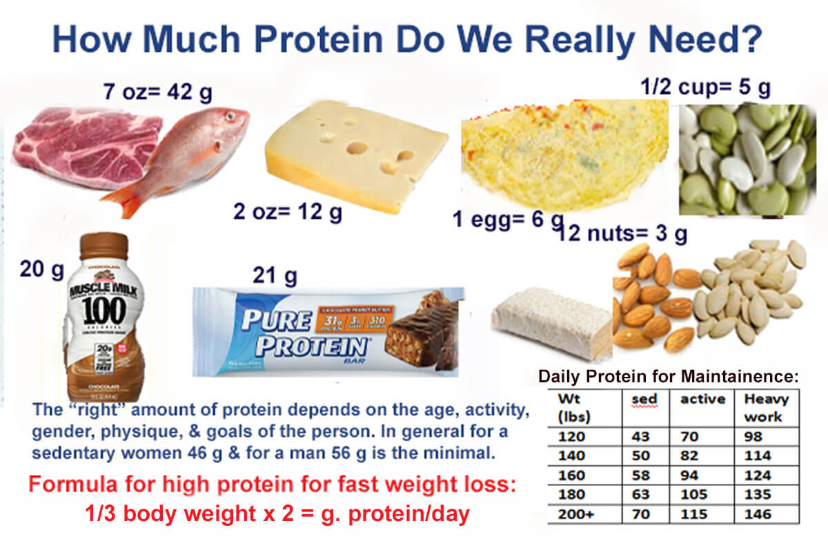 how much protein for weight loss?