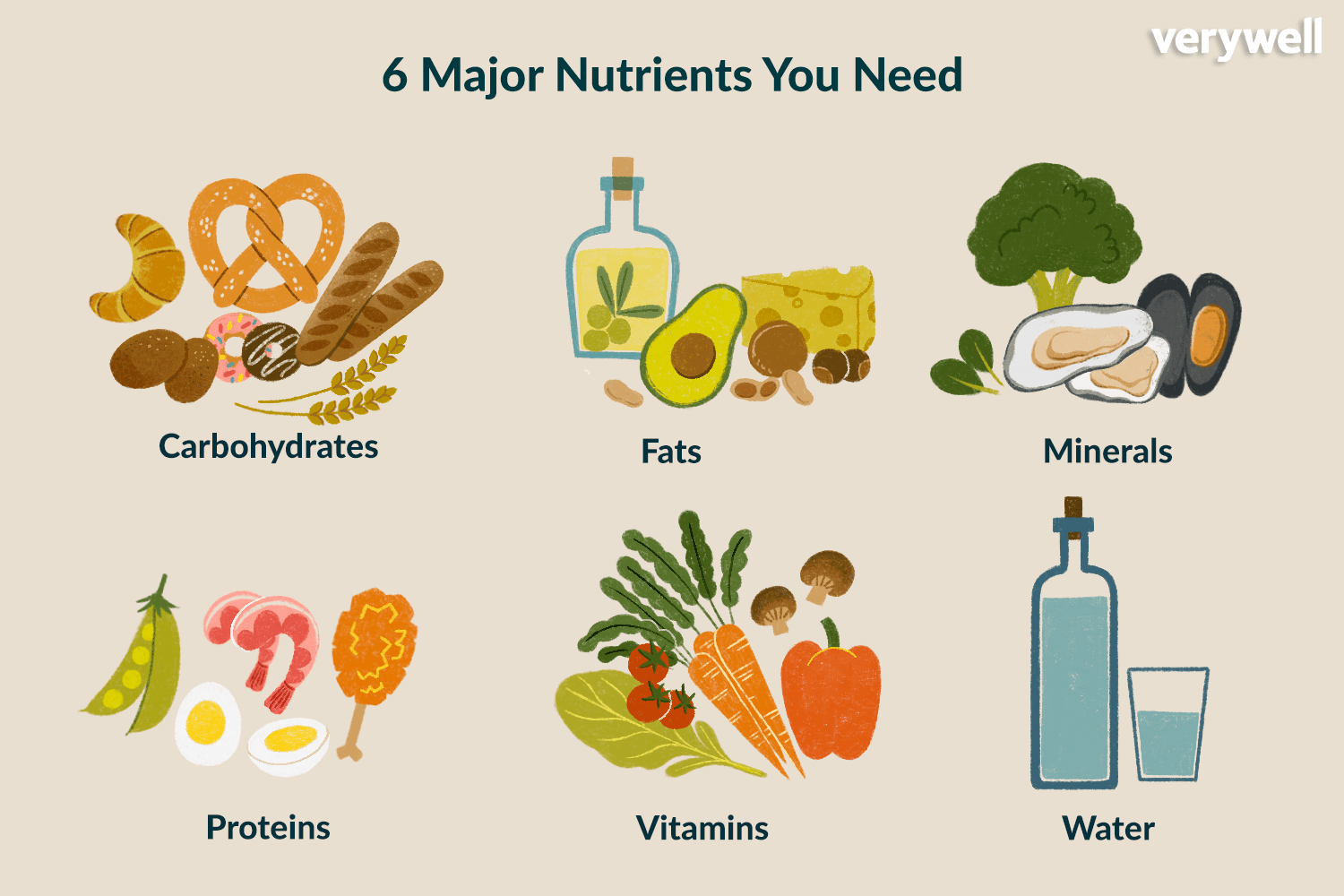 What Are Nutrients and Why Are They Important?