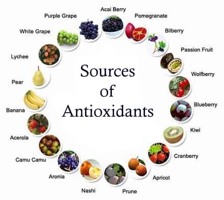 What Are Antioxidants and Why Are They Important in Diet?
